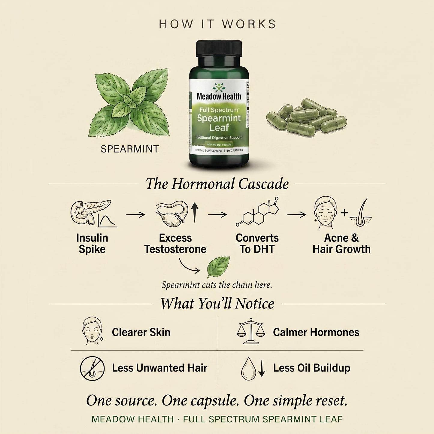 Full Spectrum Spearmint Leaf Capsules