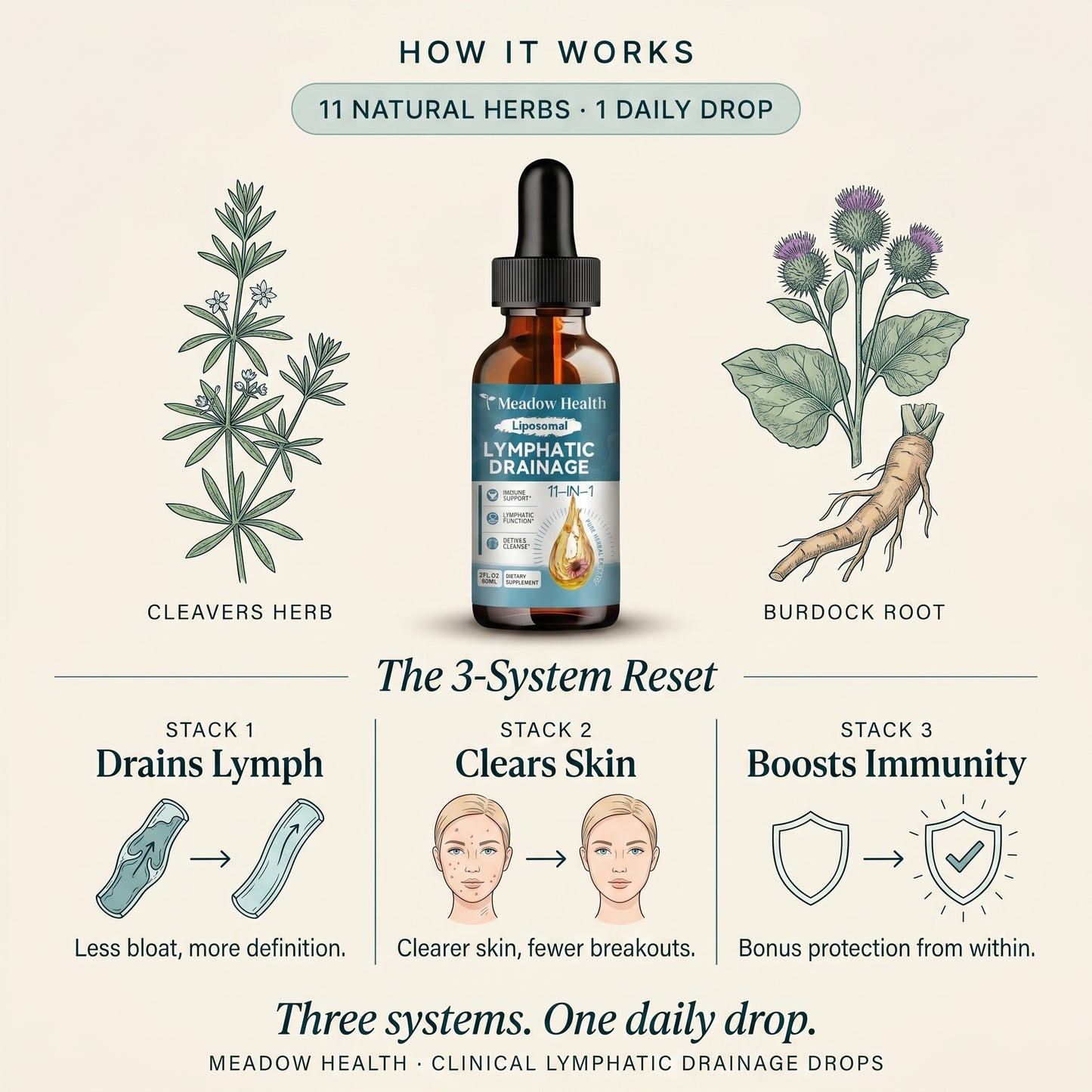 Lymphatic Drainage Drops